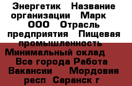 Энергетик › Название организации ­ Марк 4, ООО › Отрасль предприятия ­ Пищевая промышленность › Минимальный оклад ­ 1 - Все города Работа » Вакансии   . Мордовия респ.,Саранск г.